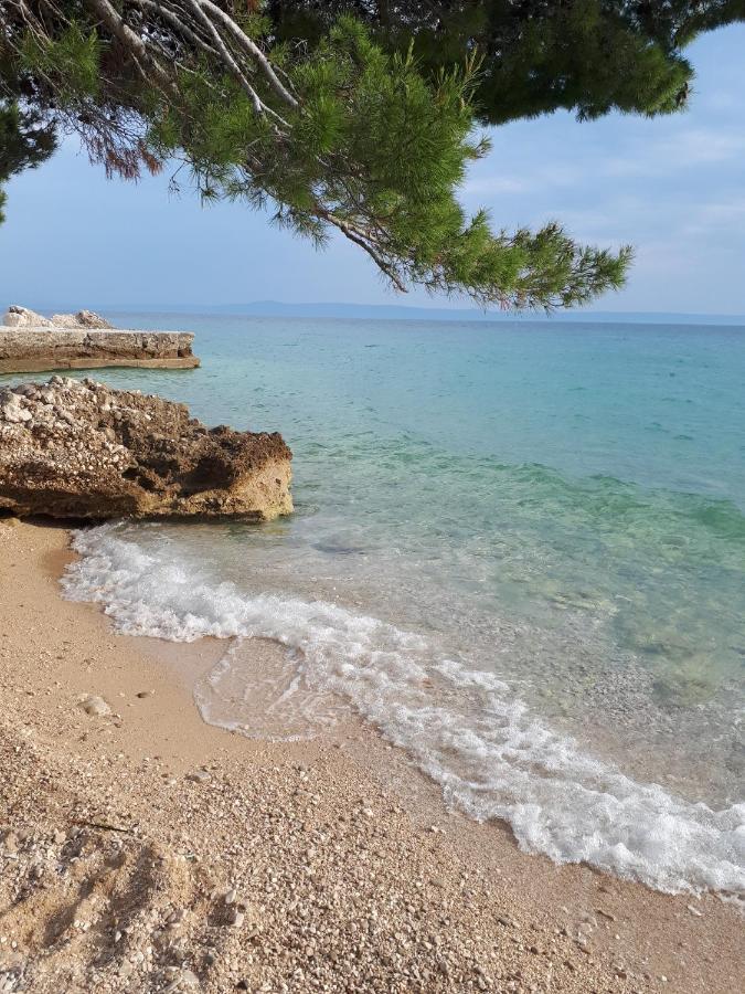 Apartment Eva Makarska Eksteriør bilde